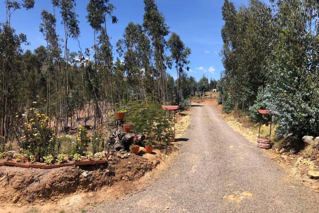 Cabana Buenavista Es Un Lugar Para Descansar. Iza Bagian luar foto
